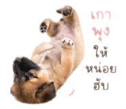 852250840