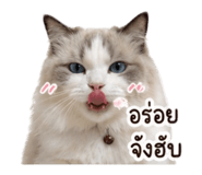 852251415