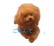 852252568