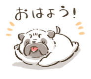 852253057