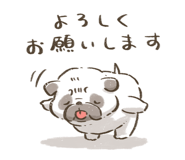 852253061