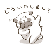 852253062