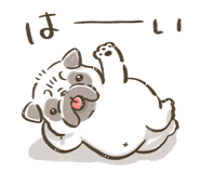 852253066