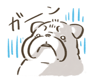 852253073