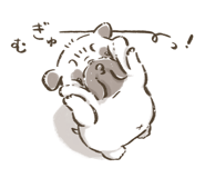 852253088