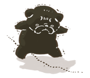 852253093
