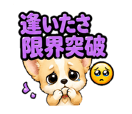 852254609