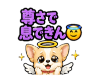 852254616
