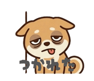 852254726
