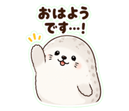 852255577