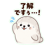 852255579