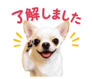 852256177