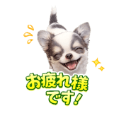 852256181