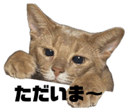 852256244