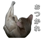 852256248