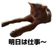 852256255