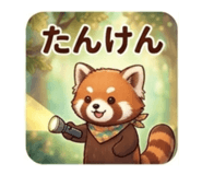 852256992