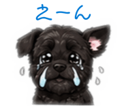 852257334