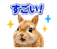 852257854