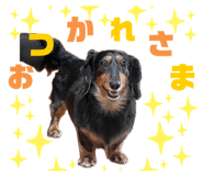 852261541