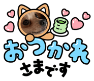 852262290