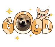 852262293