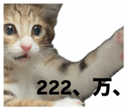 852262411