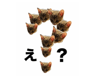 852262414