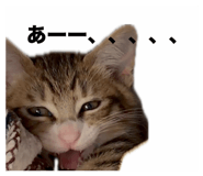 852262427