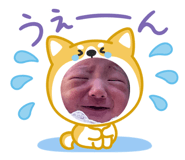 852262505