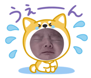852262517