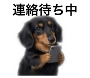 852262933