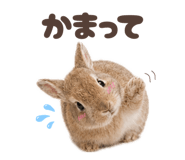 852263350