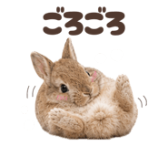 852263351