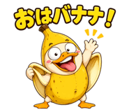 852266255