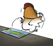 852266406