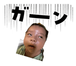 852266558