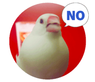 852268146