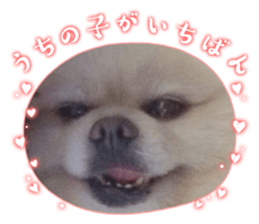 852268162