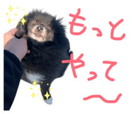 852268182