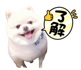 852268194