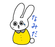 852268655
