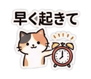 852269725