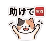852269742