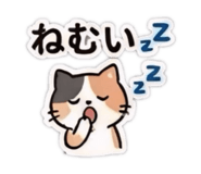 852269744
