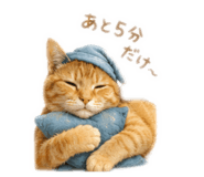 852270184