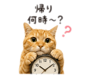 852270185