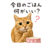 852270187