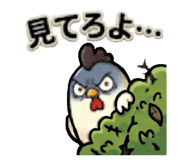 852270986