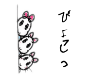852272244